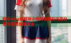 糖心vlog破解版小伟博客精彩内容分享与实用攻略大全