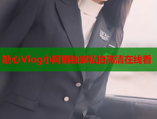 糖心Vlog小阿俏独家私拍高清在线看  第2张